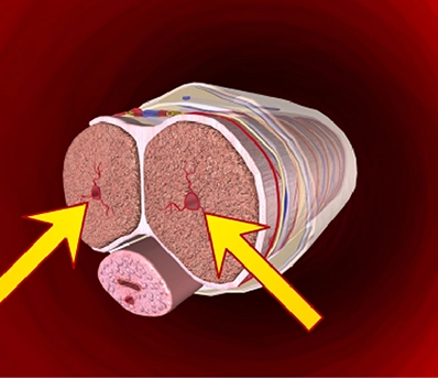 Better Circulation